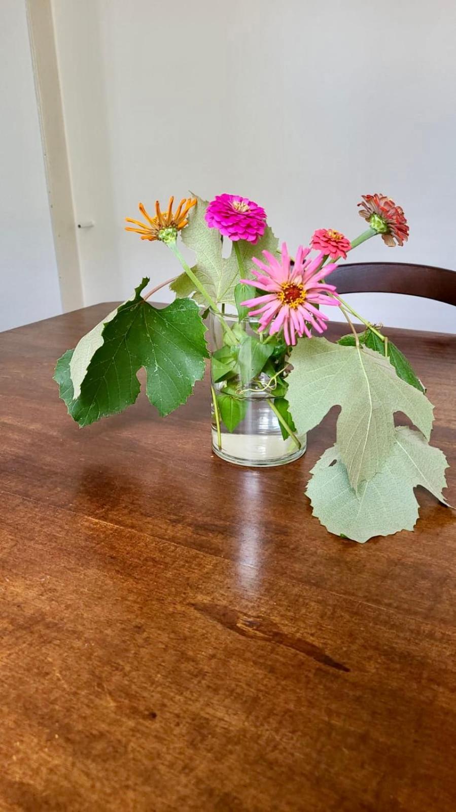 Antica Casa Storica Con Giardino Apartment Domodossola Luaran gambar
