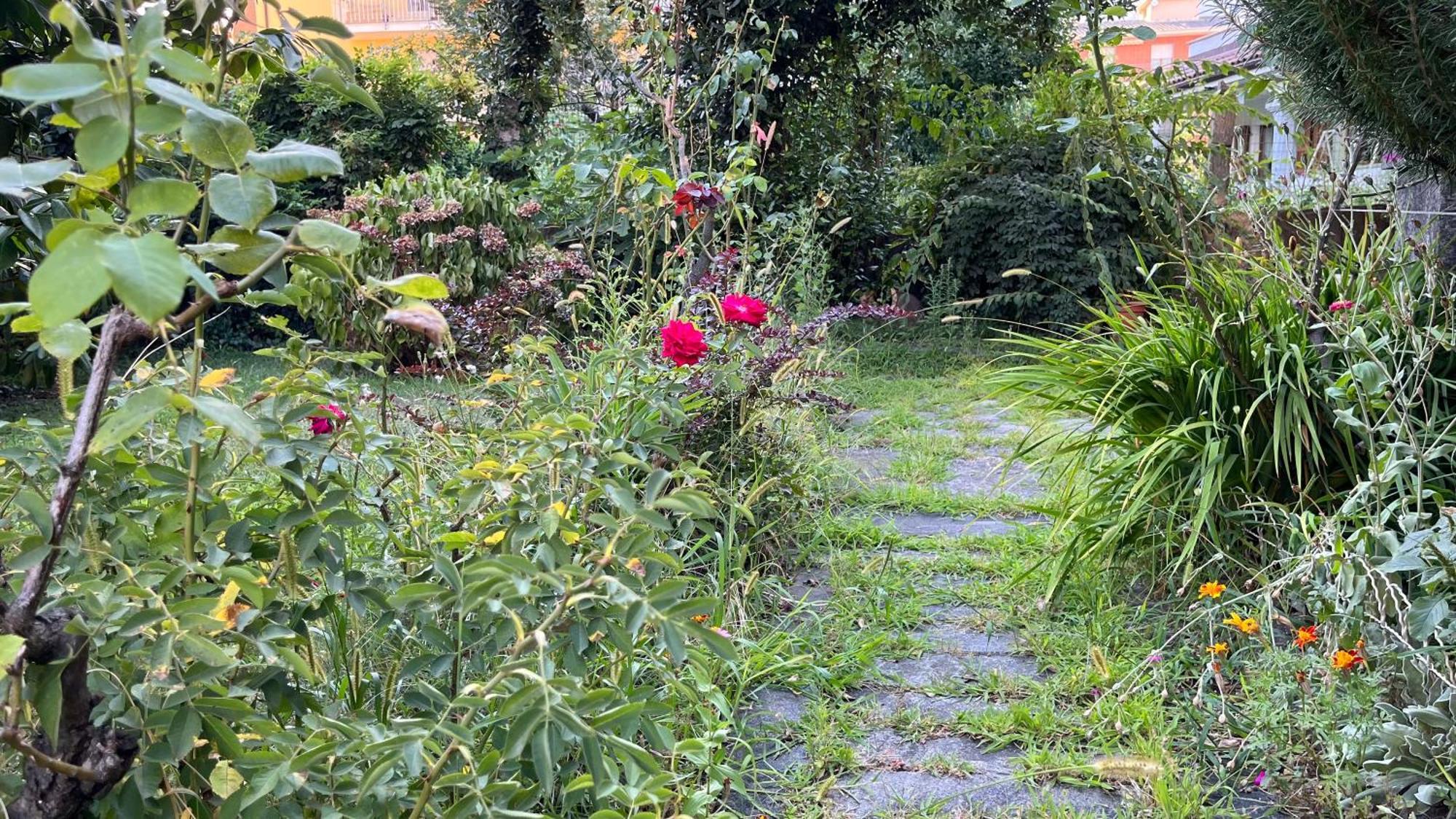 Antica Casa Storica Con Giardino Apartment Domodossola Luaran gambar